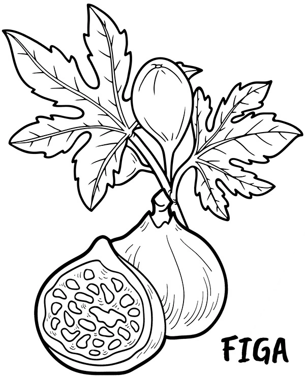 Fig with stones coloring page